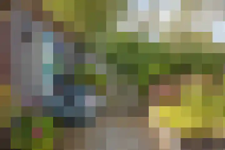 Hermaat 114 Doesburg thumbnail 47