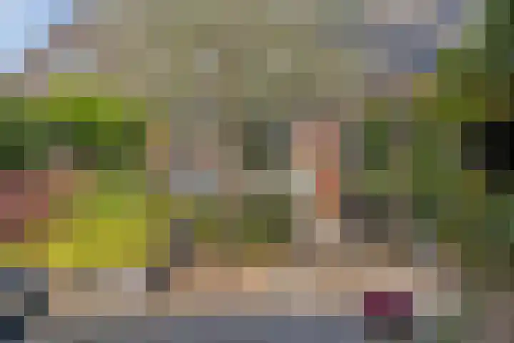 Hermaat 114 Doesburg thumbnail 49