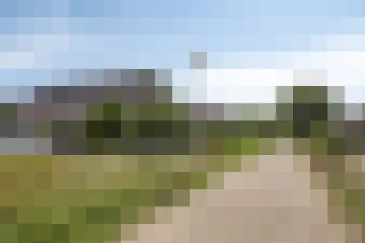 Hermaat 114 Doesburg thumbnail 50
