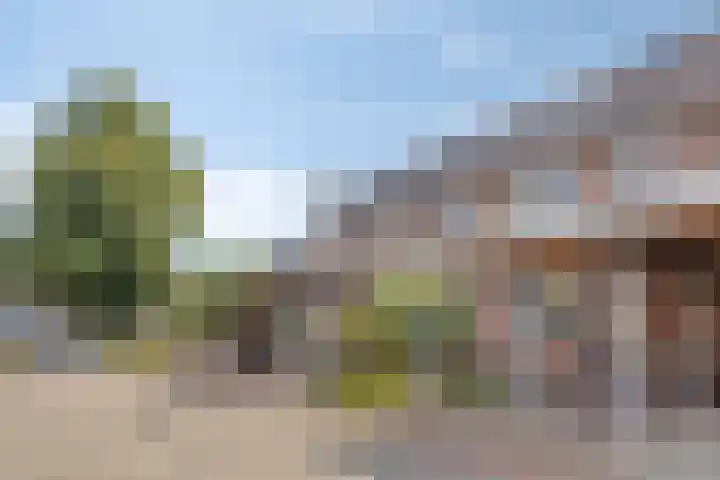 Hermaat 114 Doesburg thumbnail 6