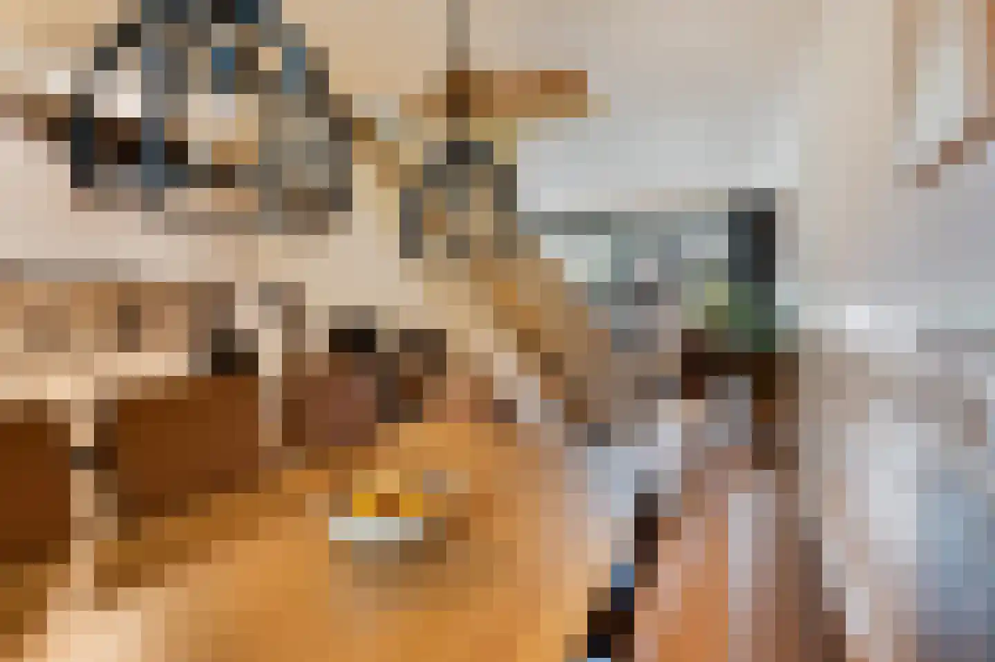 Hermaat 23 Doesburg thumbnail 10