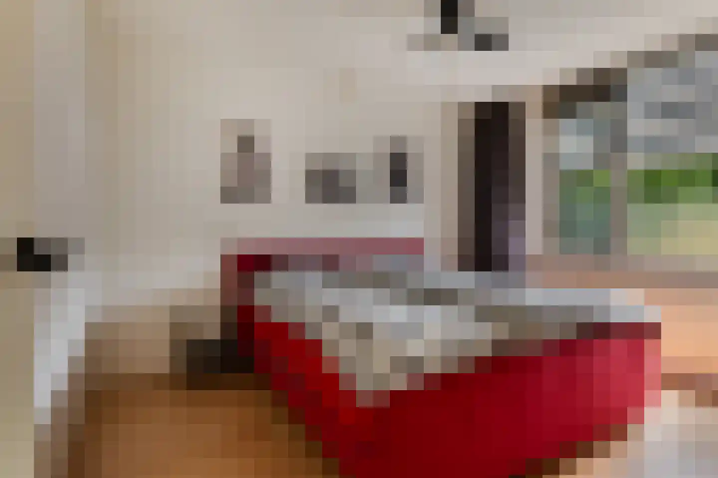 Hermaat 23 Doesburg thumbnail 15