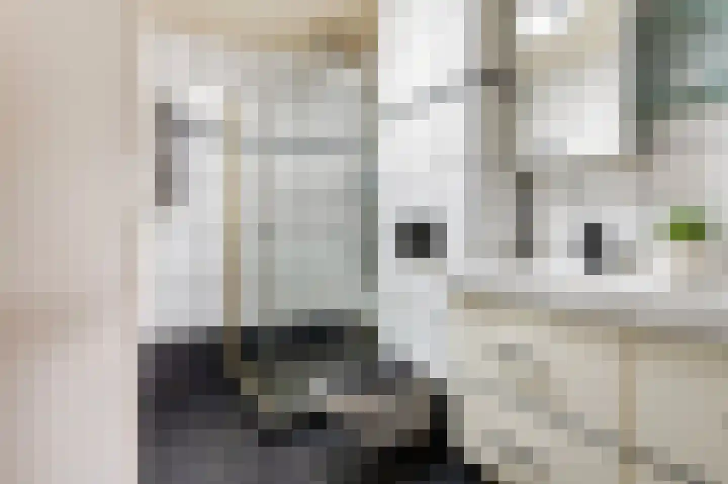 Hermaat 23 Doesburg thumbnail 21