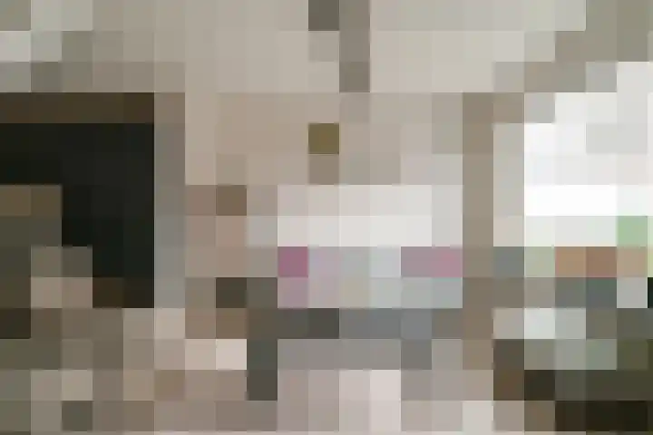 Hermaat 52 Doesburg thumbnail 13