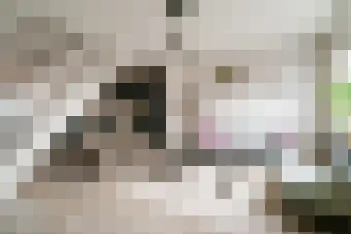 Hermaat 52 Doesburg thumbnail 14