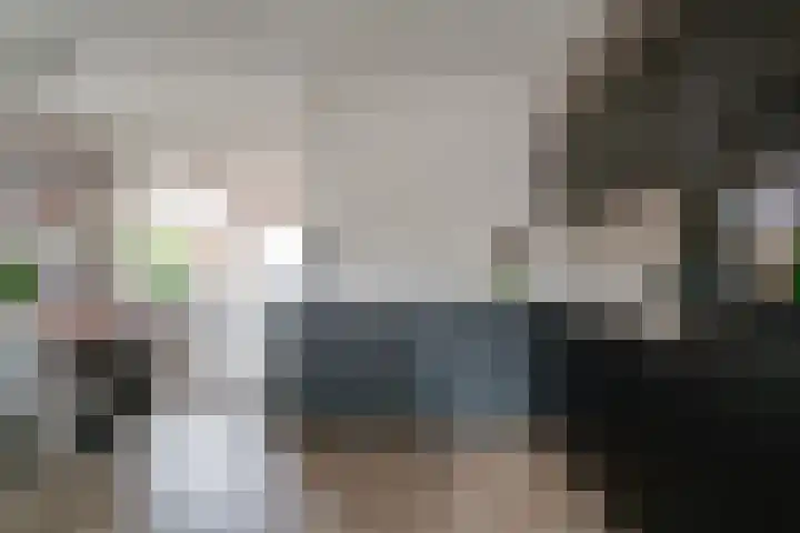 Hermaat 52 Doesburg thumbnail 18