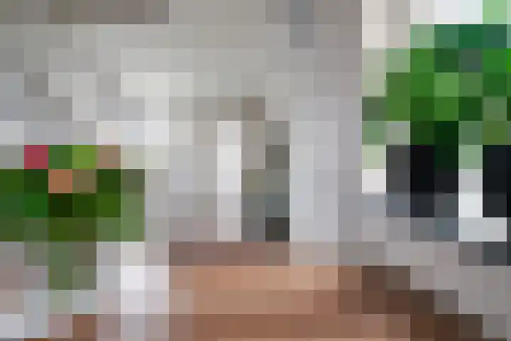 Hermaat 52 Doesburg thumbnail 25