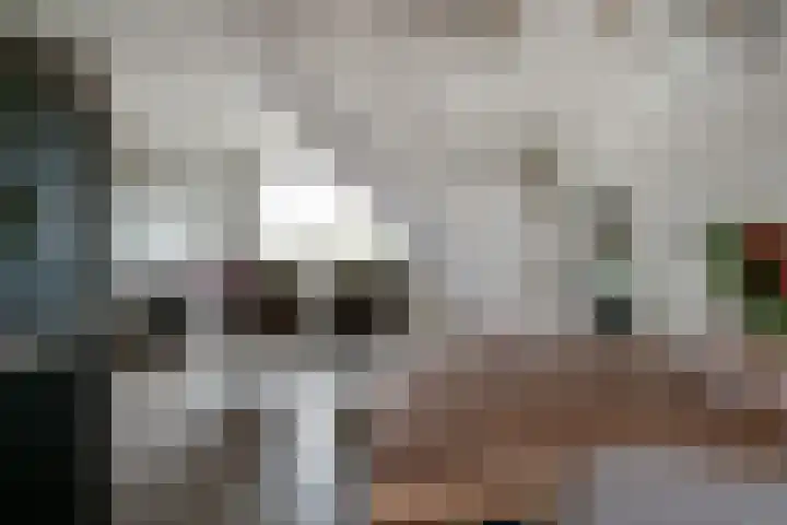 Hermaat 52 Doesburg thumbnail 26