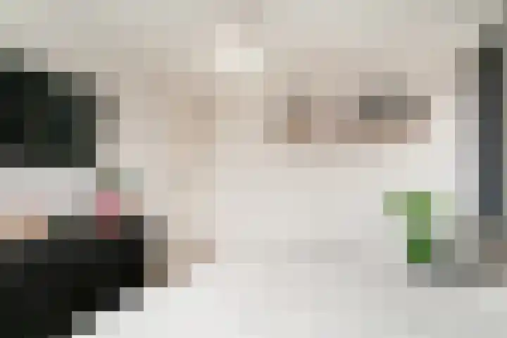 Hermaat 52 Doesburg thumbnail 29