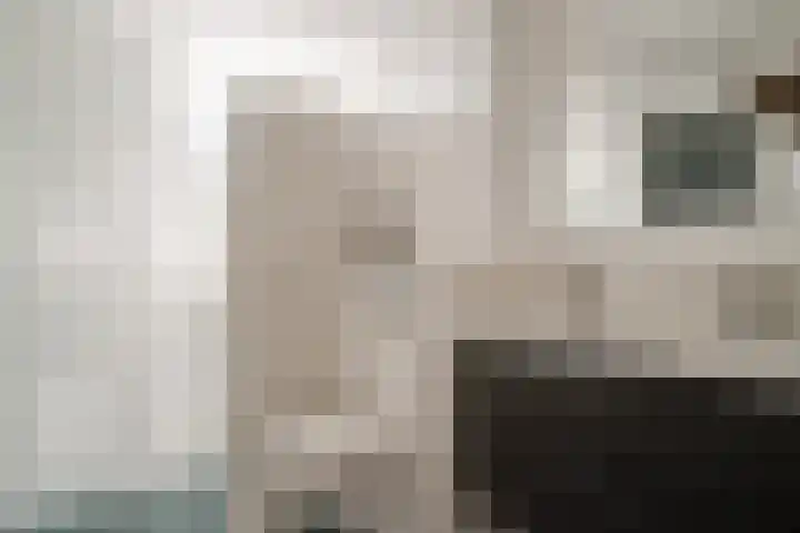 Hermaat 52 Doesburg thumbnail 37