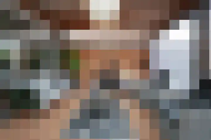 Hermaat 52 Doesburg thumbnail 48