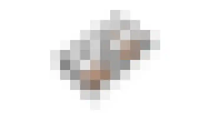 Hermaat 52 Doesburg thumbnail 62