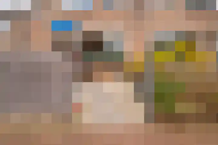 Hermaat 52 Doesburg thumbnail 8
