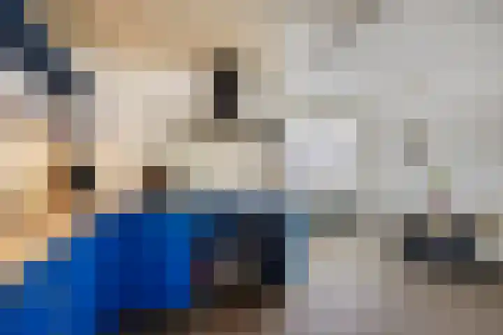 Hermaat 85 Doesburg thumbnail 11