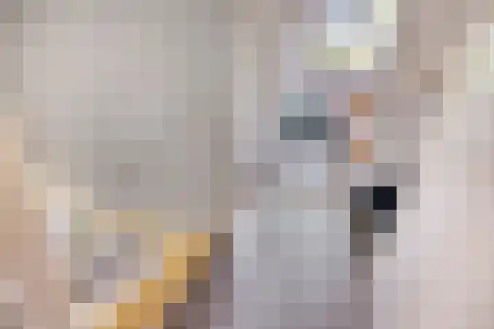 Hermaat 85 Doesburg thumbnail 21