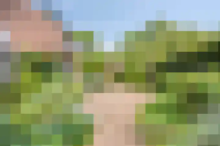 Hermaat 85 Doesburg thumbnail 36