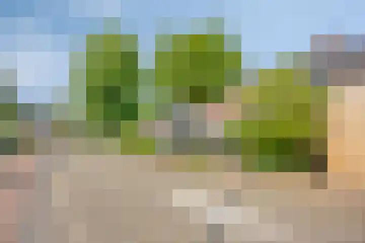 Hermaat 85 Doesburg thumbnail 37