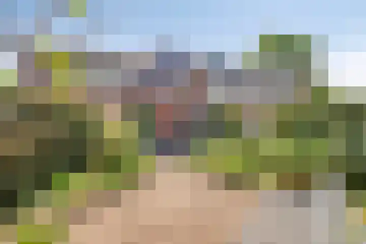 Hermaat 85 Doesburg thumbnail 38