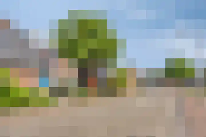 Hermaat 85 Doesburg thumbnail 39