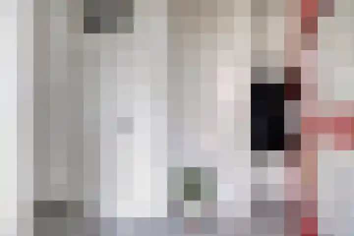 Hermaat 85 Doesburg thumbnail 5