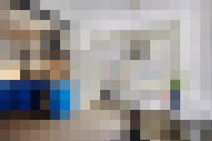 Hermaat 85 Doesburg thumbnail 8