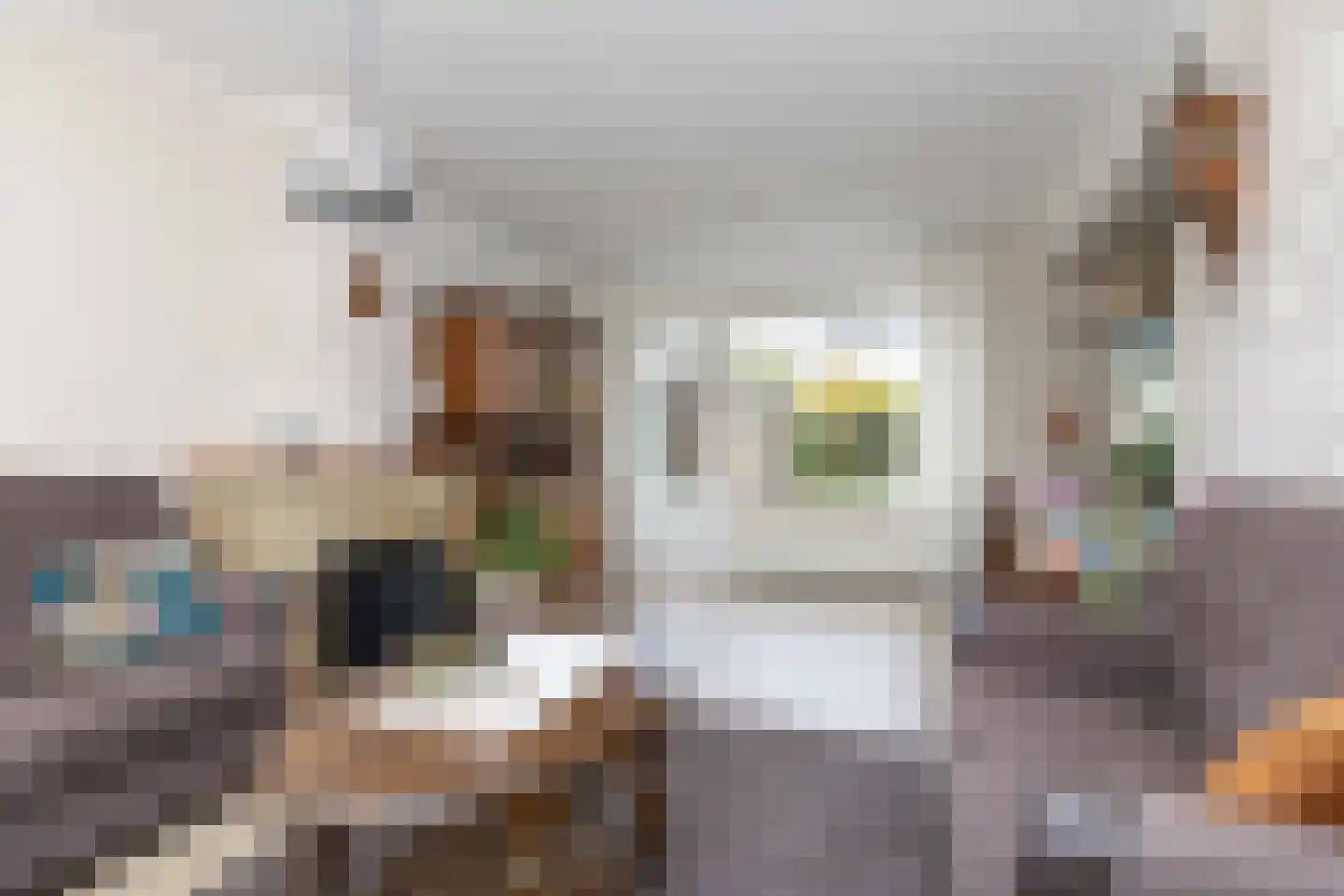 Herman Bavinckstraat 30 Hoogeveen thumbnail 14