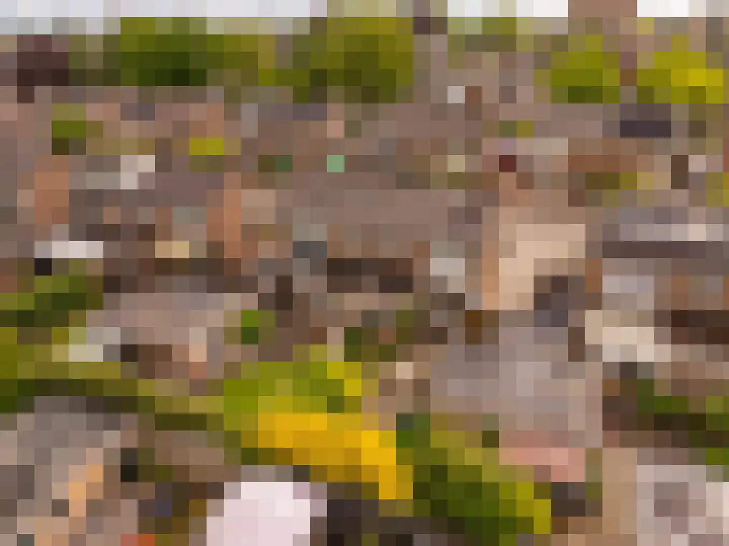 Herman Bavinckstraat 30 Hoogeveen thumbnail 34