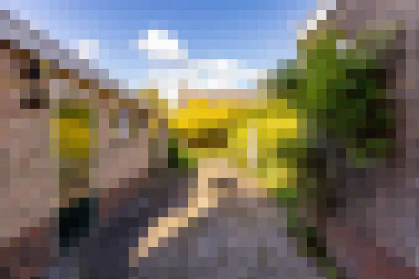 Herman Bavinckstraat 30 Hoogeveen thumbnail 37