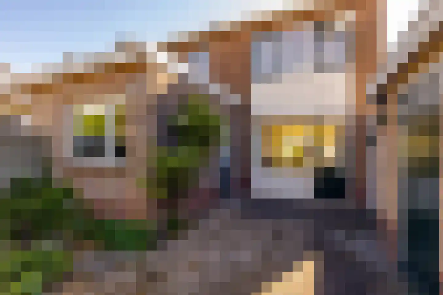 Herman Bavinckstraat 30 Hoogeveen thumbnail 46