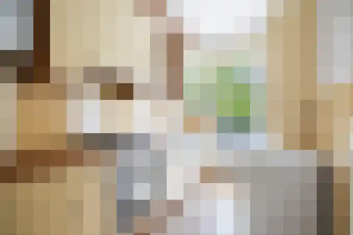 Herman Boerhaavelaan 100 Deventer thumbnail 12