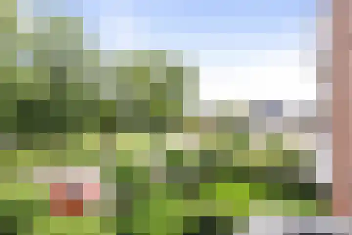 Herman Boerhaavelaan 100 Deventer thumbnail 15