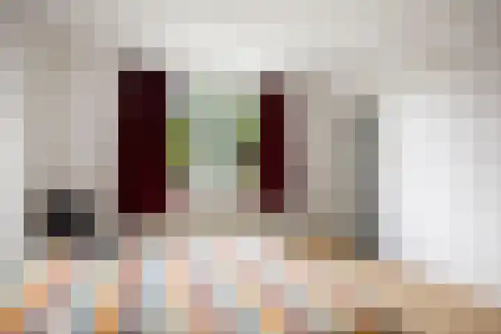 Herman Boerhaavelaan 100 Deventer thumbnail 19