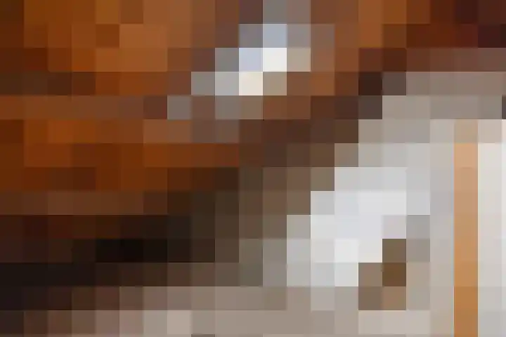 Herman Boerhaavelaan 100 Deventer thumbnail 22