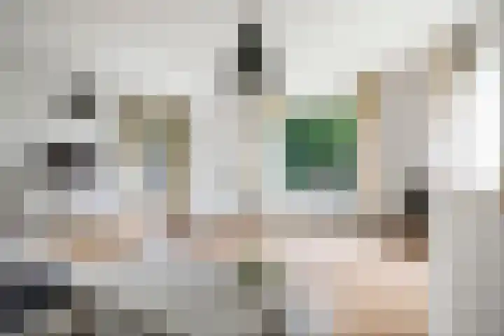 Herman Boerhaavelaan 100 Deventer thumbnail 4