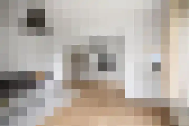 Herman Boerhaavelaan 100 Deventer thumbnail 7