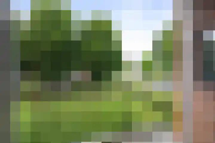 Herman Boerhaavelaan 100 Deventer thumbnail 8