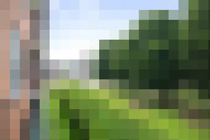 Herman Boerhaavelaan 100 Deventer thumbnail 9