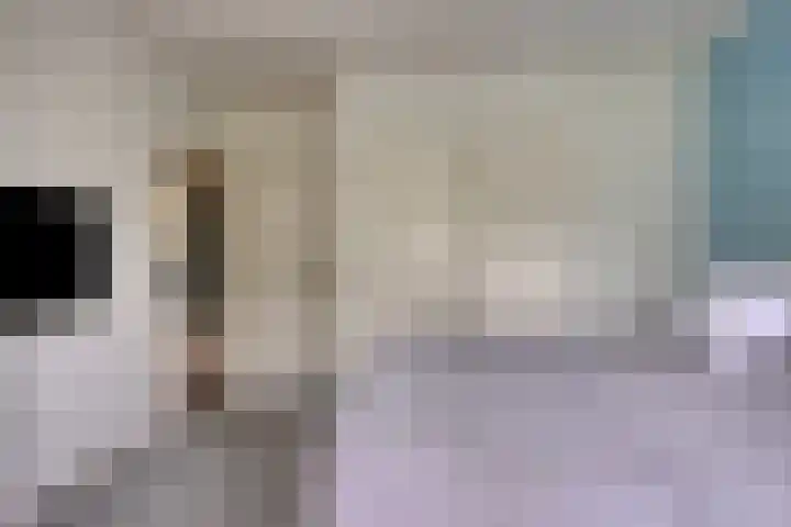Herman Boerhaavelaan 114 Deventer thumbnail 12