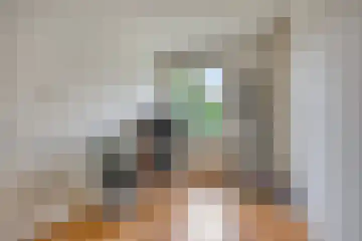 Herman Boerhaavelaan 114 Deventer thumbnail 14