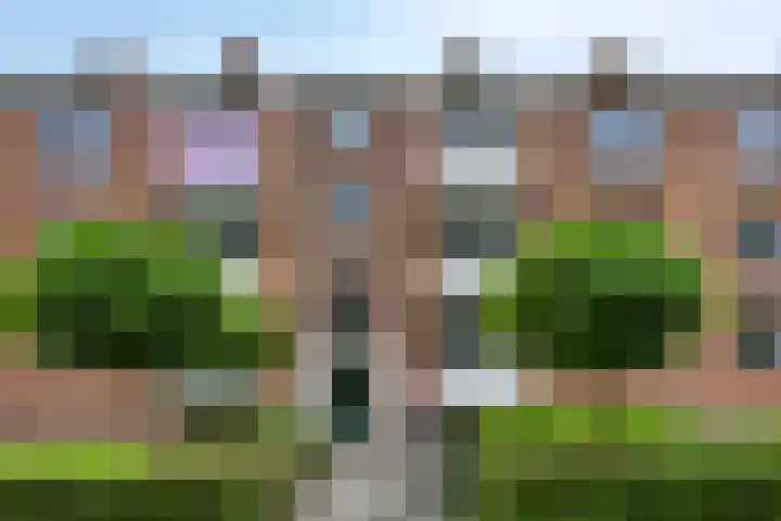 Herman Boerhaavelaan 114 Deventer thumbnail 16