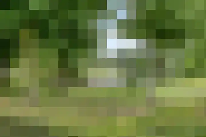 Herman Boerhaavelaan 114 Deventer thumbnail 20