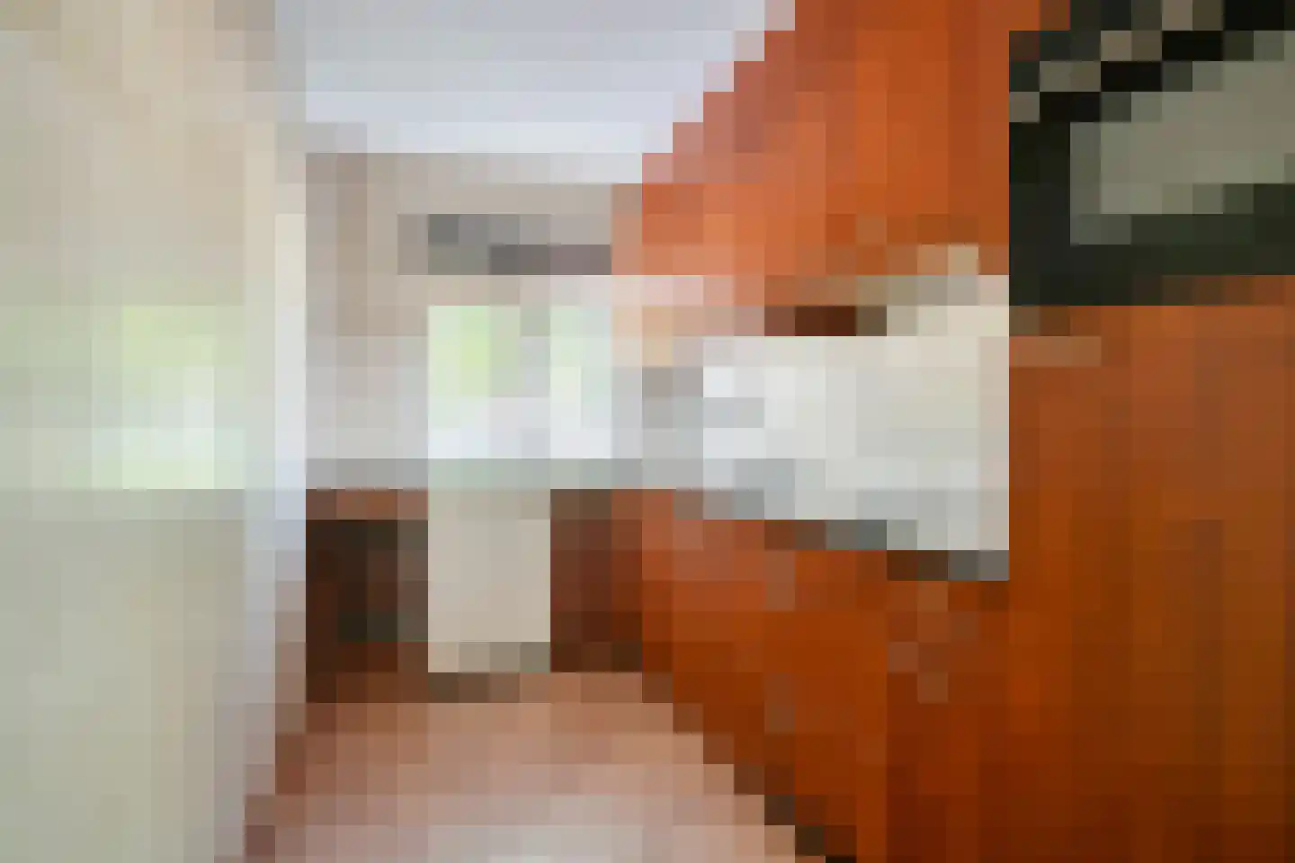 Herman Boerhaavelaan 12 Deventer thumbnail 13