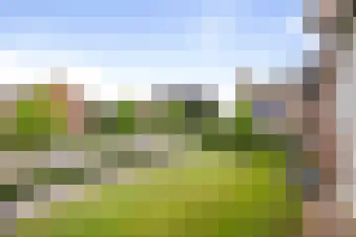 Herman Boerhaavelaan 3 F 16 Deventer thumbnail 5