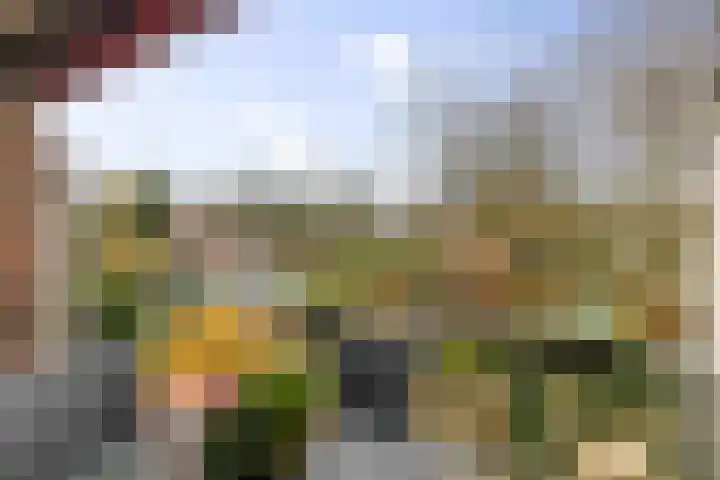 Herman Boerhaavelaan 33 Deventer thumbnail 22