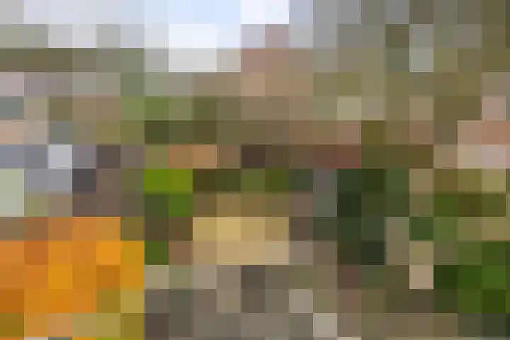 Herman Boerhaavelaan 33 Deventer thumbnail 23