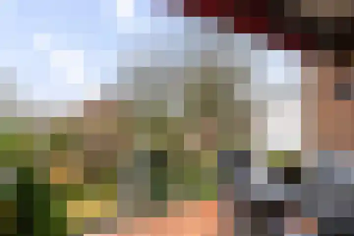 Herman Boerhaavelaan 33 Deventer thumbnail 24