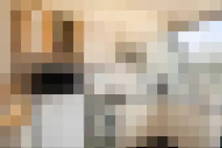 Herman Boerhaavelaan 33 Deventer thumbnail 27