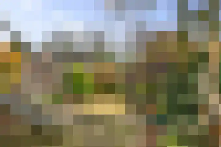 Herman Boerhaavelaan 33 Deventer thumbnail 41