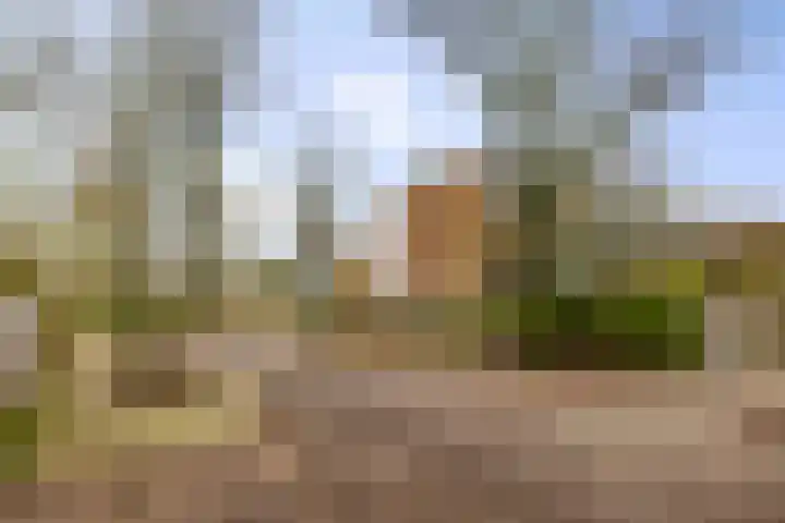 Herman Boerhaavelaan 33 Deventer thumbnail 46