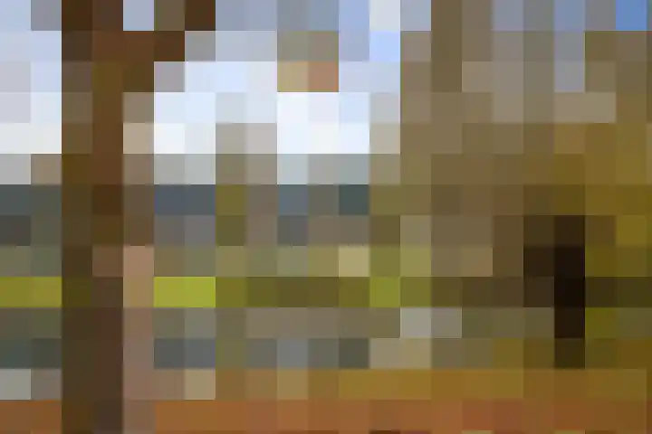 Herman Boerhaavelaan 33 Deventer thumbnail 47